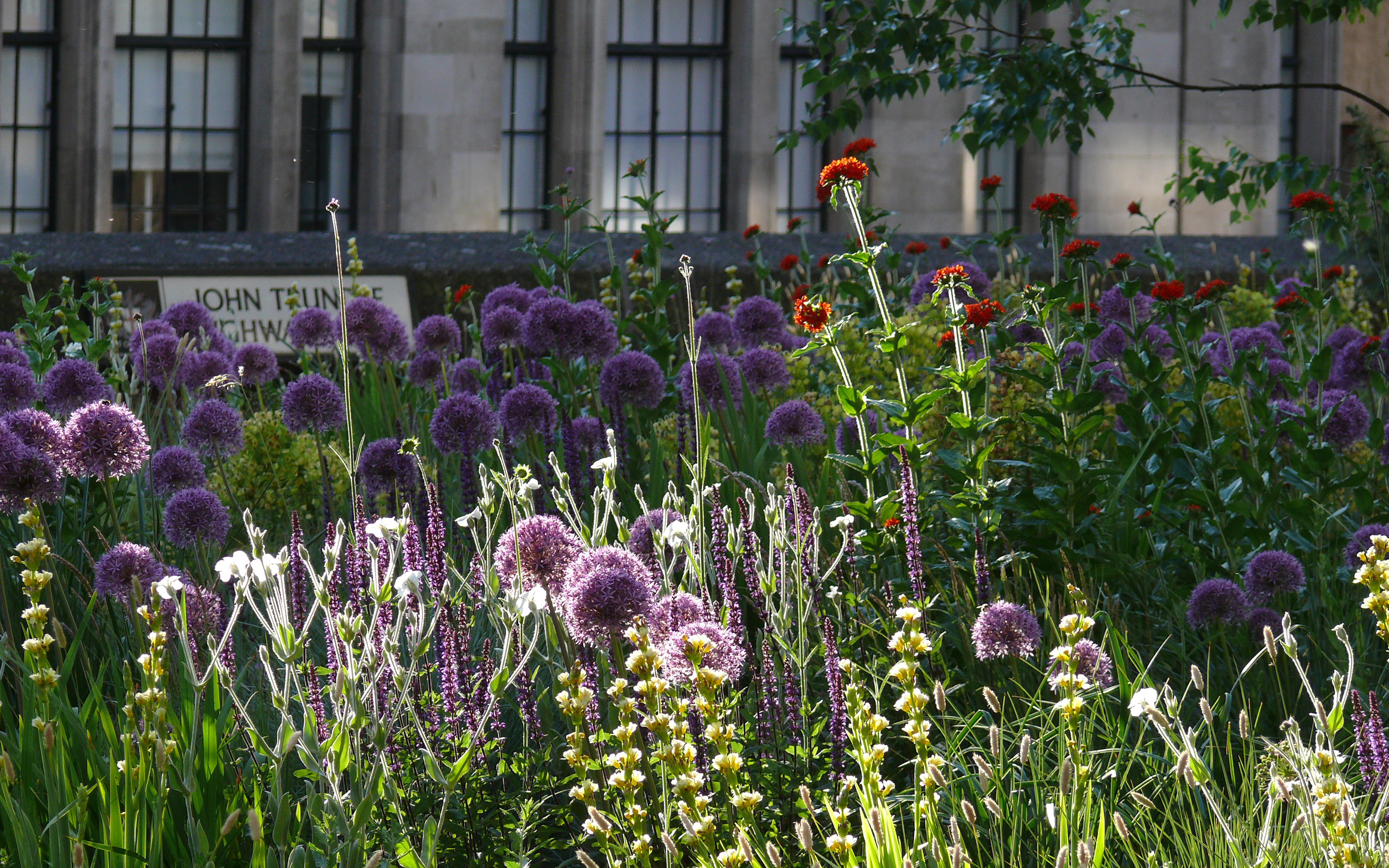 The planting scheme is suited to different microclimates around the site. Meadow-like vegetation with Ornamental Leek